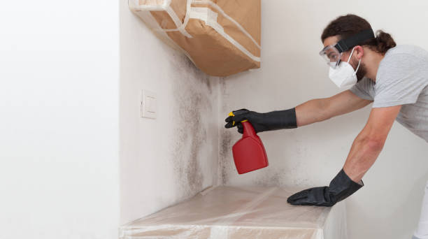 Professional Crawl Space Mold Removal technician working in Deerfield, MI