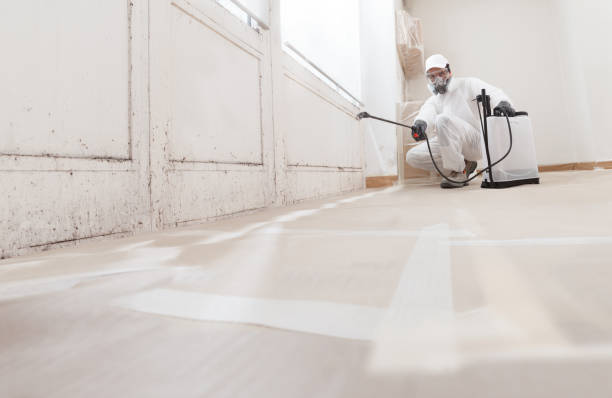 24/7 Emergency Crawl Space Mold Removal experts in Deerfield, MI